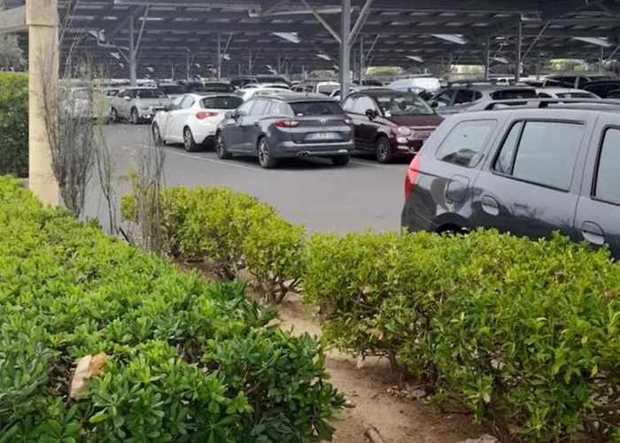 Appartement Avec Loggia Agde